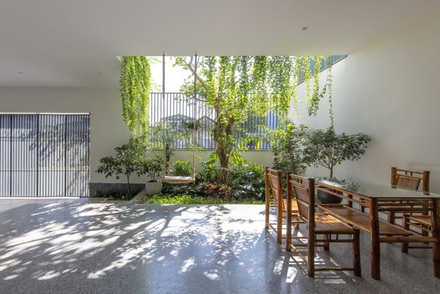 Courtyard, landscaping, planting trees in the house
