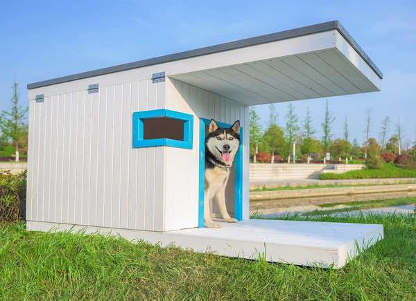 shielded porch dog house