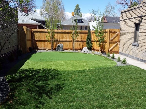 backyard grass lawn