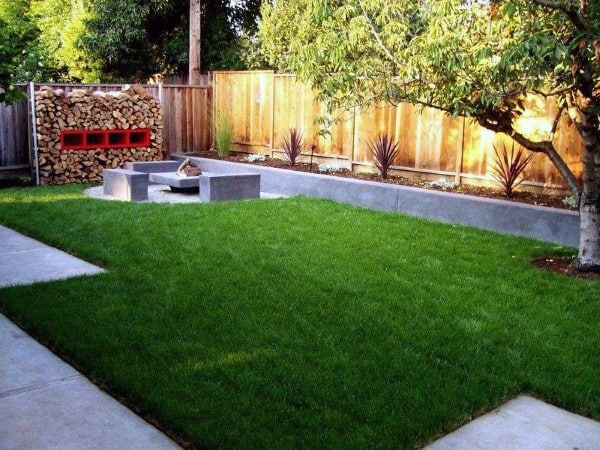 backyard grass lawn