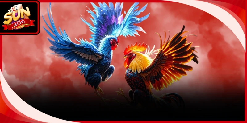 Sân chơi cung cấp đa dạng hình thức thi đấu đá gà Sunwin kịch tính