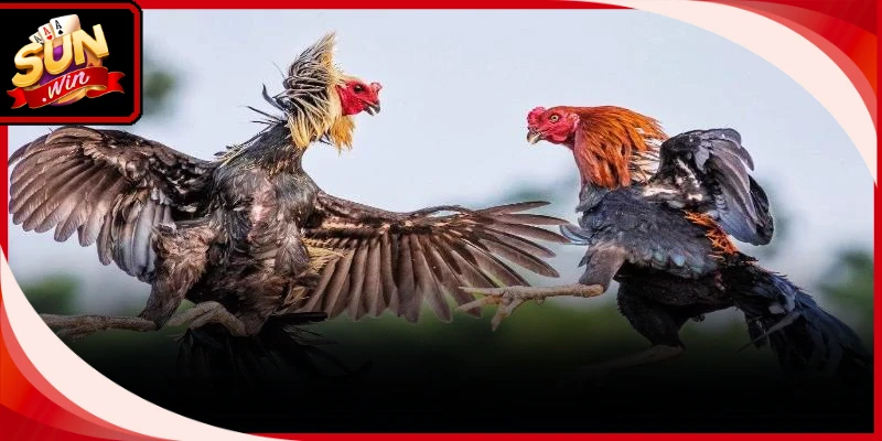 Phương pháp đi tiền thông minh bảo vệ nguồn vốn cá cược cho mọi người chơi